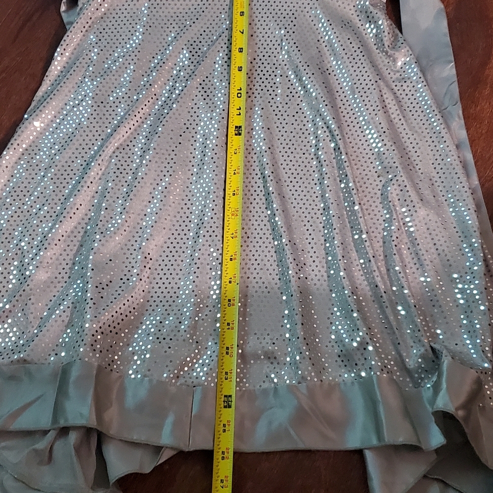 Appropriate Behavior Silver/Grey Sequin Dress Siz… - image 3